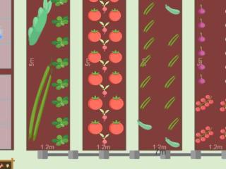 Mon potager 2023
