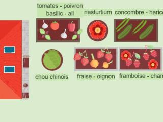 Le potager du vertige