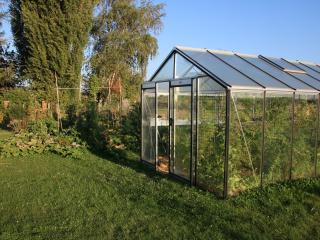 Evolution de mon potager à la fin-août