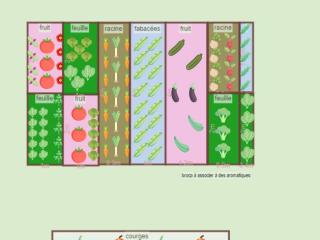 potager complet 2022