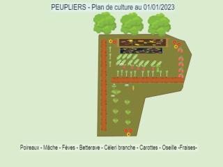 Parcelle PEUPLIER - Au 01/01/2023