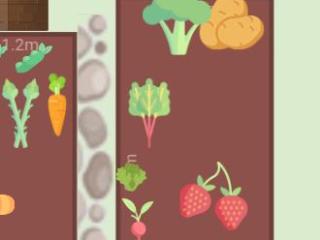 Mon potager 2021
