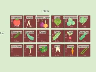 Mon potager 2023