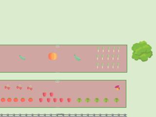 Mon potager 2022