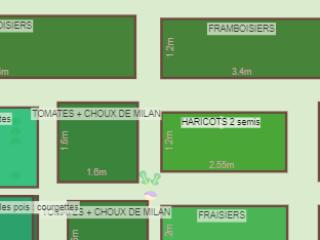 Mon potager 2023 (2)