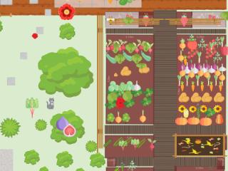 Mon potager 2023