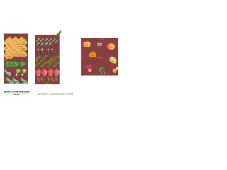 Le potager de Sophie