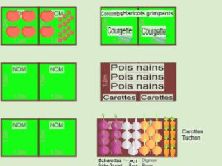 potager appartement