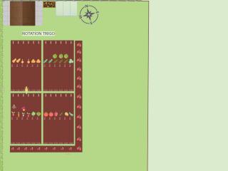 Mon Potager 2023
