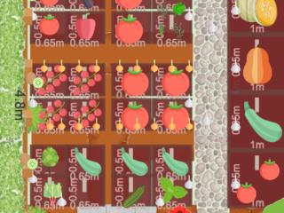 Potager 2023