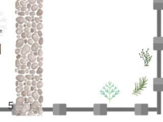 Potager printemps 25