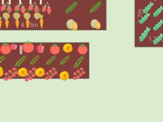 Mon potager 2023