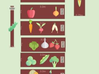potager 2023