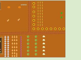 Potager gauche 2025