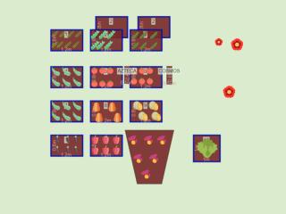 Potager Pascalou