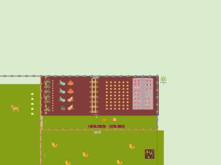 Mon potager 2024