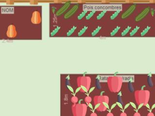 Mon potager 2023