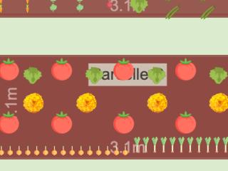 Mon Potager 2023