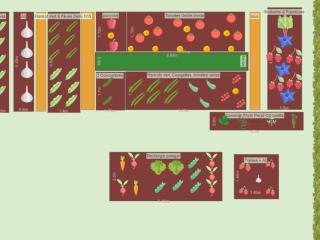 Mon potager 2023 printemps