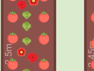 Potager 2024