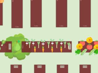POTAGER 2023