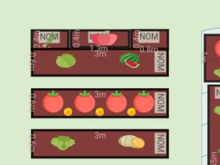 Mon potager 2023