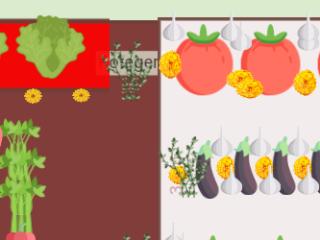 Potager titine 23