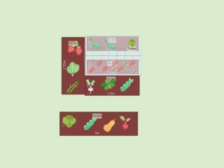 Mon potager