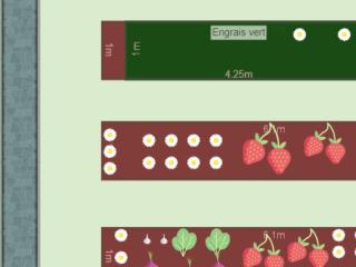 Mon potager avril 2023