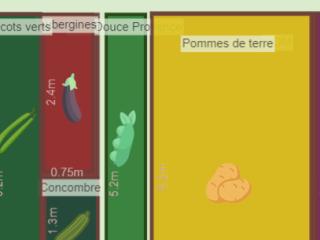 Mon potager
