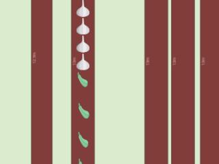 Potager jacques 2023