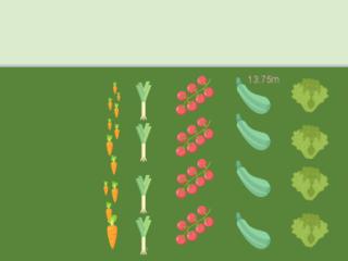 Mon potager de Spycker