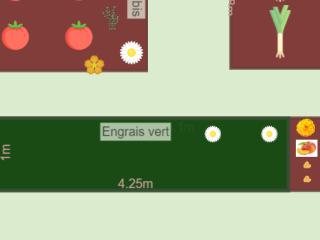 Mon potager mai 2023