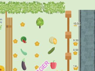 Potager mai 2023