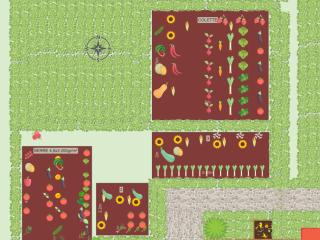 Potager Yohan 2023
