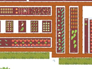 Potager 2023