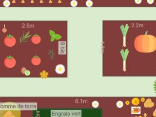 Mon potager juin 2023
