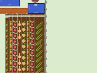 Potager 2023