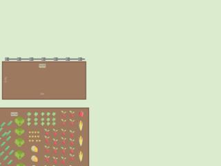 Mon potager
