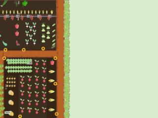 Mon potager vers