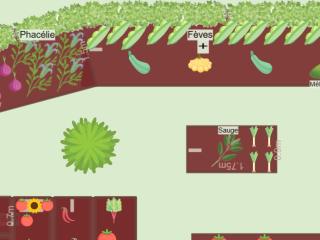 Potager 2023