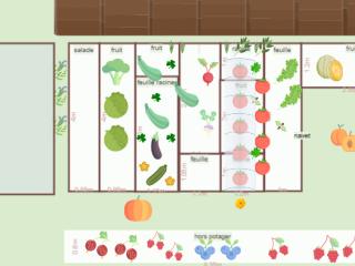 Mon potager 2023 juillet