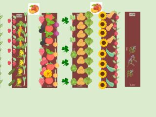 Mon potager