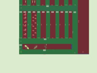 Potager Janvier 2024