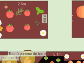Mon potager au 15 août 2023
