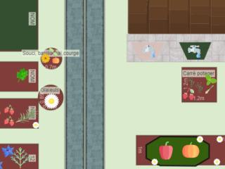 Mon potager au 3 septembre 2023