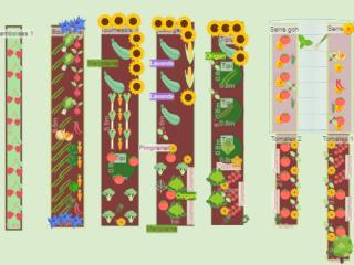 Potager 1 printemps-été 2023