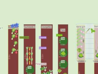 Potager automne-hiver 2023-24