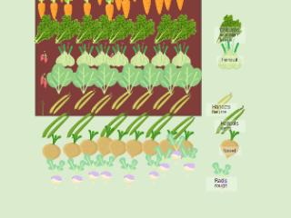 Potager principal