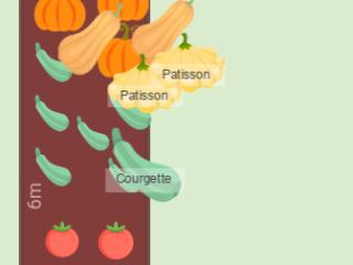 Potager 2024 dans la haie
